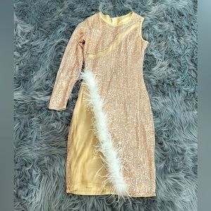 Sequined, mesh & feather one shoulder dress